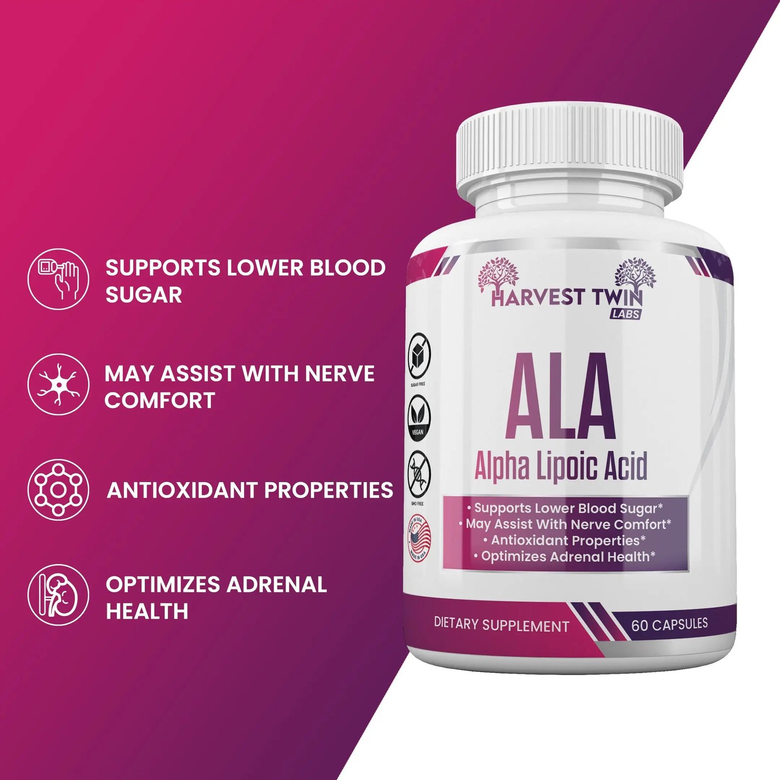 ALA Alpha Lipoic Acid - Maintains Healthy Blood Sugar & Boosts Energy - Image 2