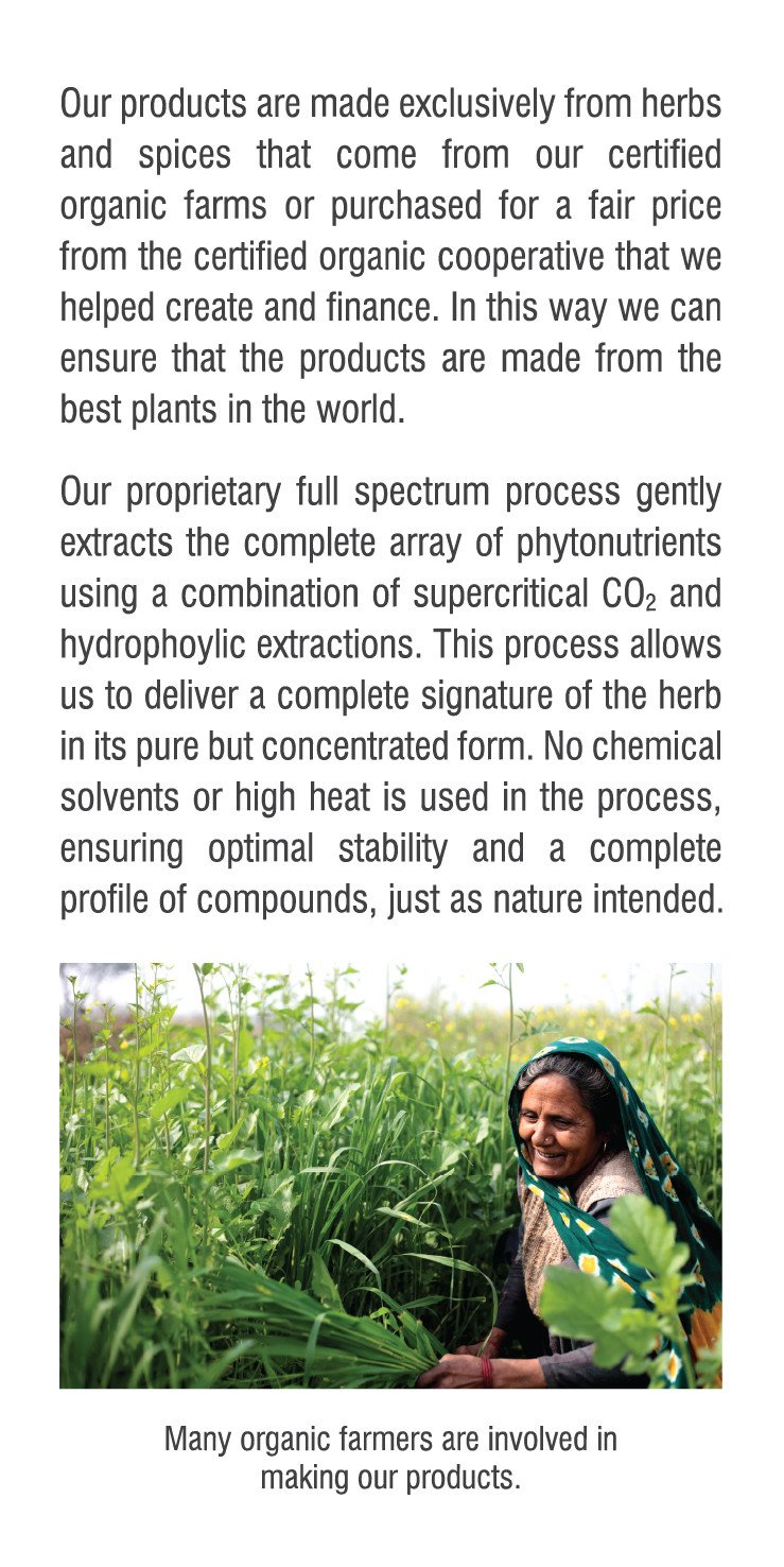 Holy Basil Dual Extracted Powder - Image 4