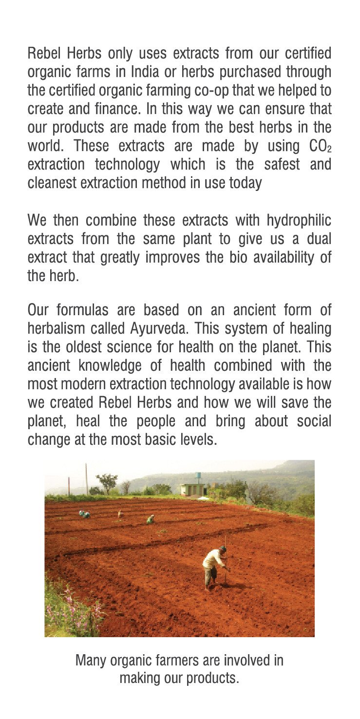 #33 Jointade 60 capsules - Image 4