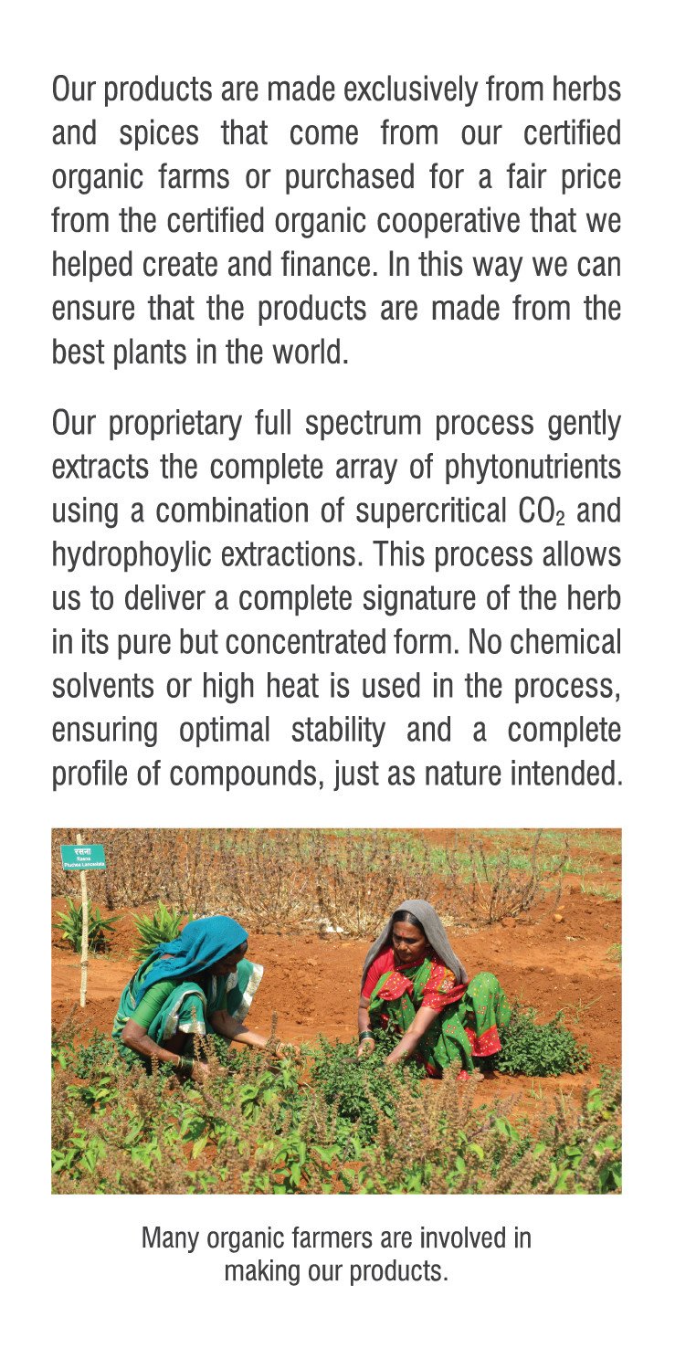 Rebel Herbs Organic Fenugreek Vegetarian Capsules - 60 Count - Image 4