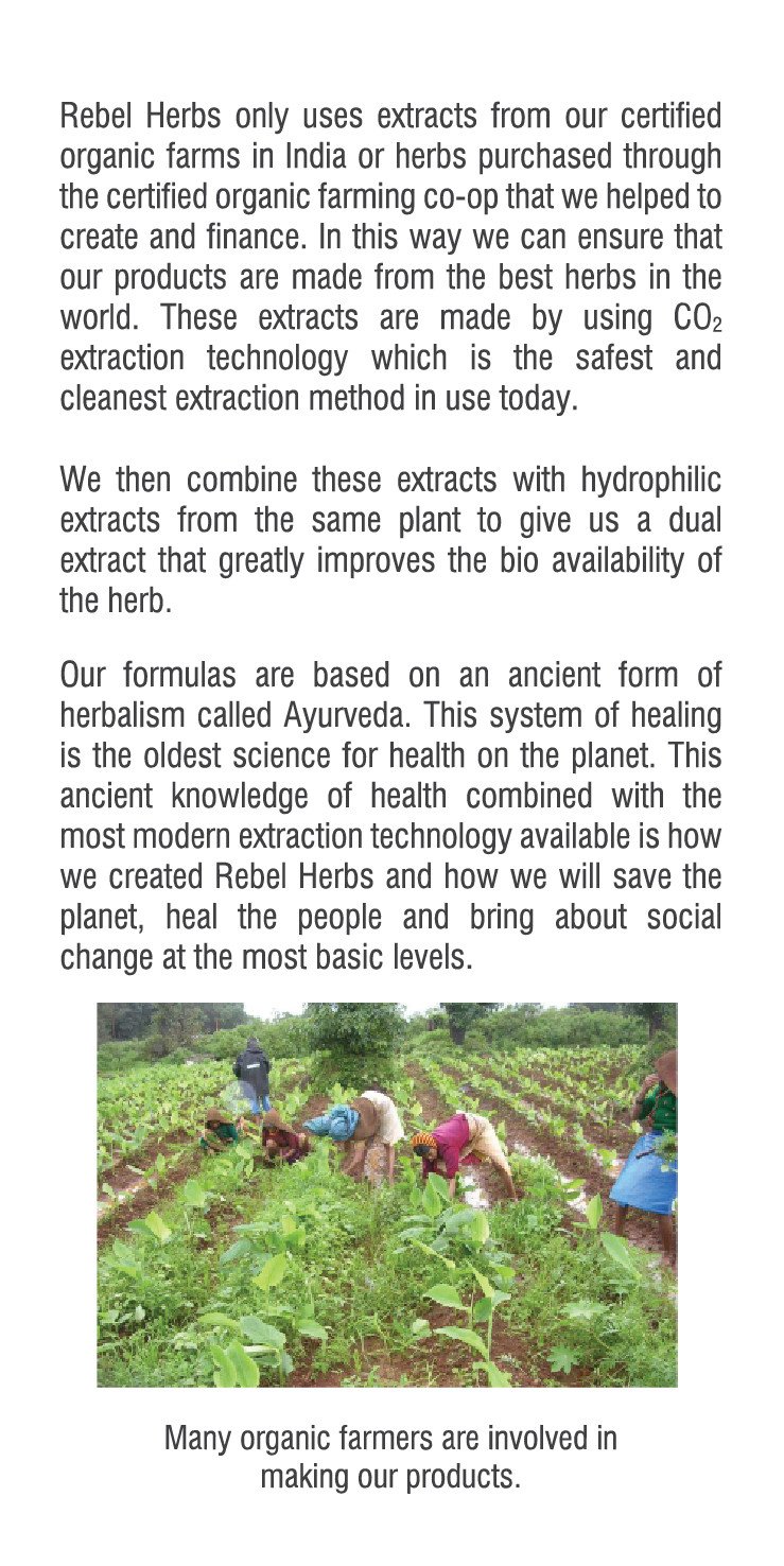 Rebel Herbs Organic Heartade Vegetarian Caps - 60 Count - Image 3