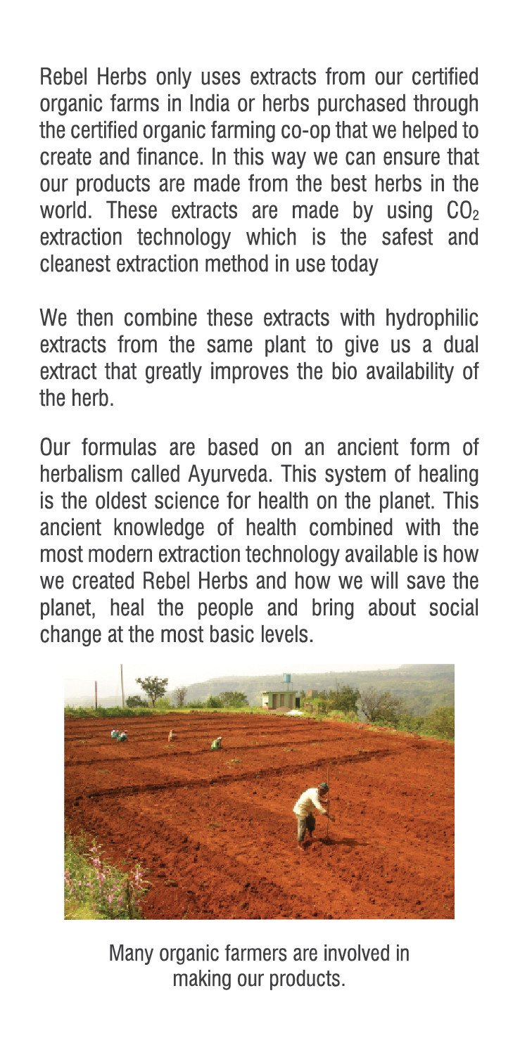 #45 Stamimax 60 capsules - Image 4