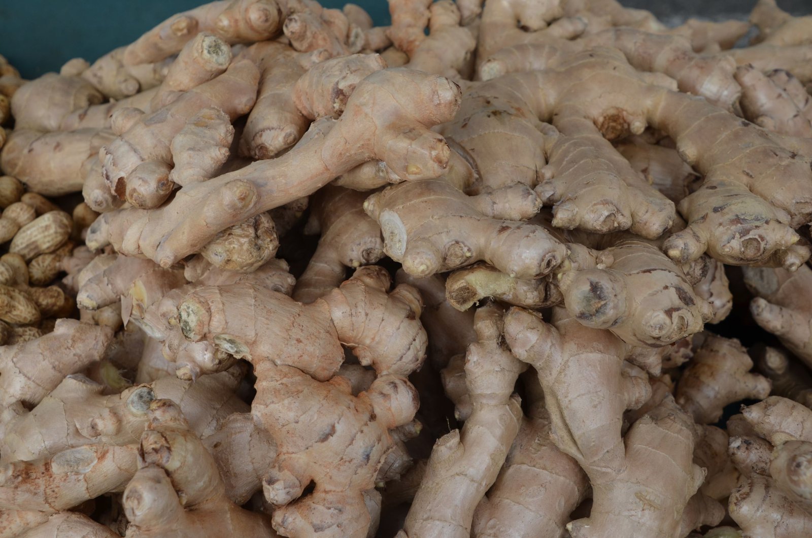 Ginger Capsules - Image 6