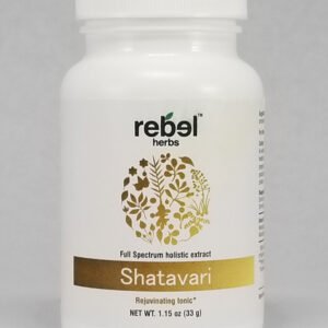 Shatavari Dual Extracted Powder