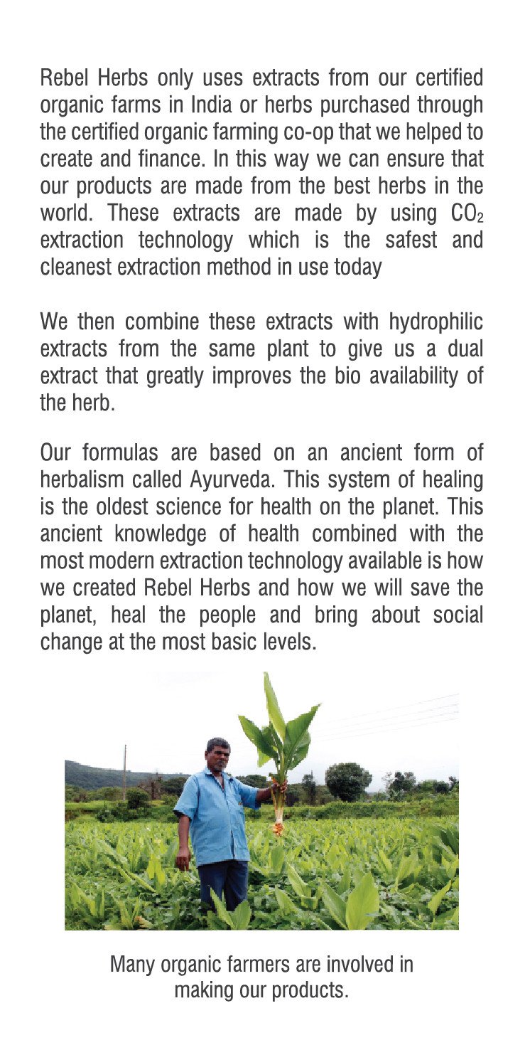 Rebel Herbs Organic Imunade Vegetarian Capsules - 60 Count - Image 4