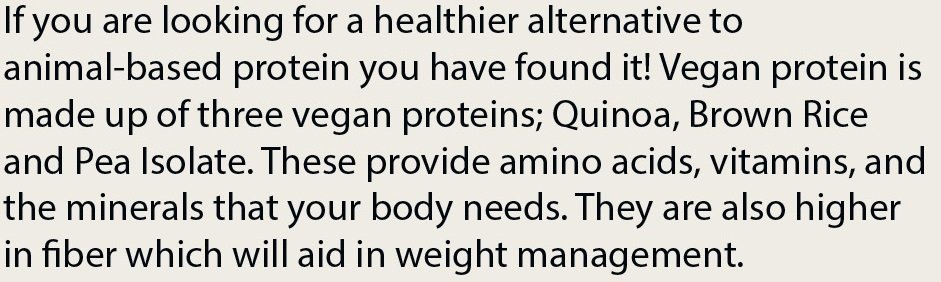 Pure Plant Protein - Vanilla - Image 8